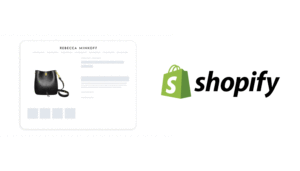 Shopify development company in Delhi