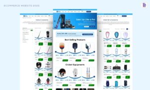 website development company in delhi