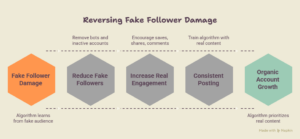 What Happens to Your Account When Fake Followers Increase Your Count